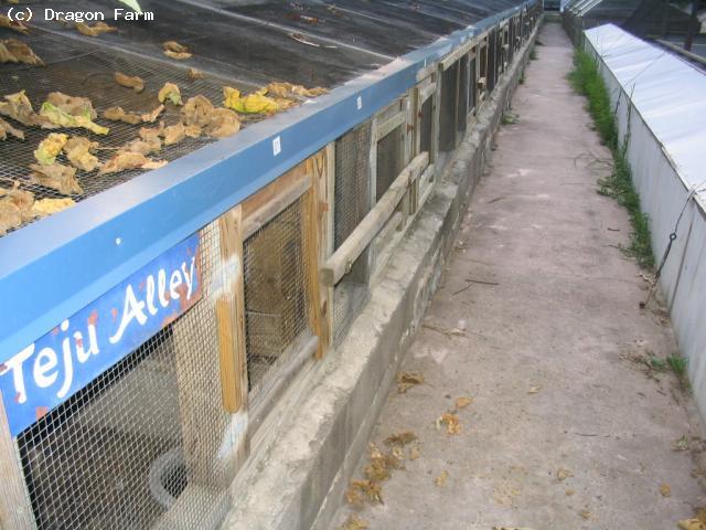 Agama International has so many vivariums, that each row of cages are given a name.